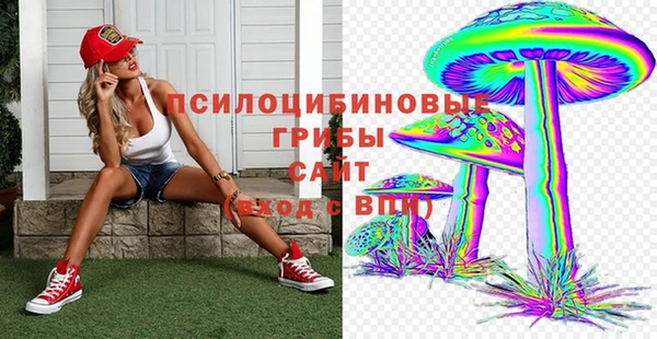 spice Абаза