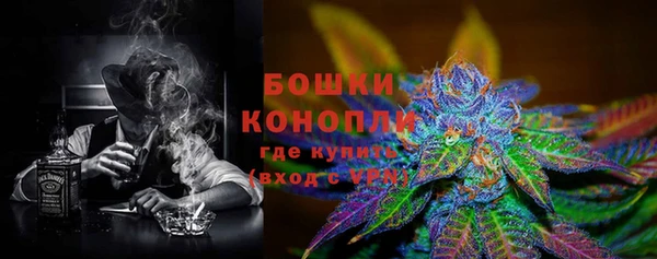 шишки Алзамай