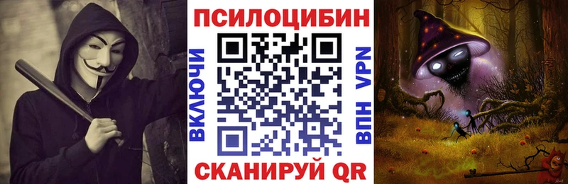KRAKEN tor  Кочубеевское  Галлюциногенные грибы MAGIC MUSHROOMS 